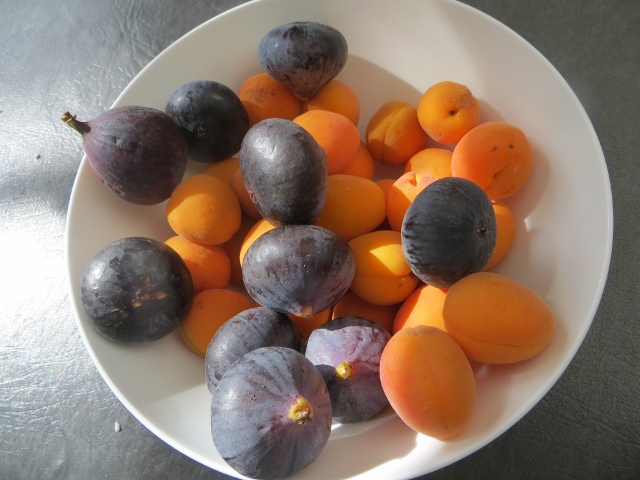 Figs and Apricots.jpg